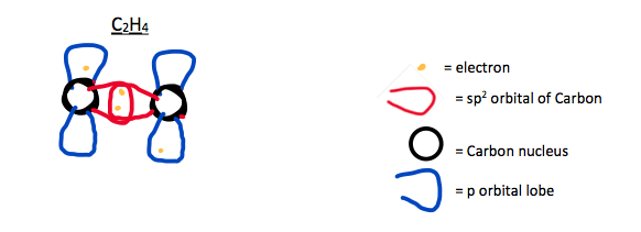 A C~2~H~4~ molecule with only a sigma bond so far