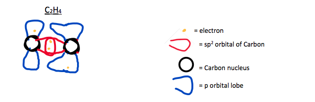 p orbital lobes expand