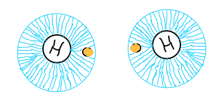 Two Hydrogen atoms with electron clouds