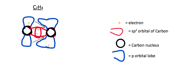 p orbital lobes are pulled