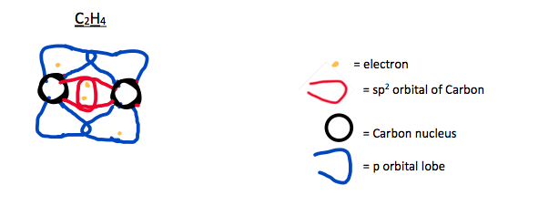 p orbital lobes expand