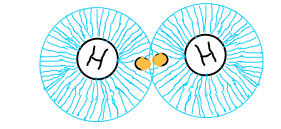 Two Hydrogen atoms with electron clouds moving together