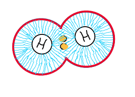 Shape of a H~2~ molecule
