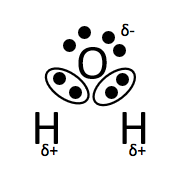 H~2~O molecule