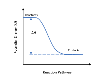 Potential Energy Diagram with information