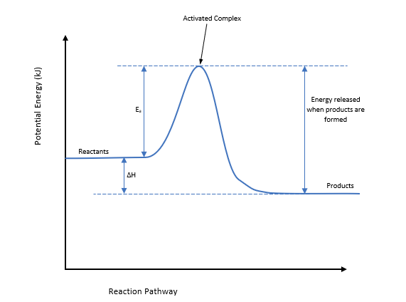 Potential Energy Diagram with information